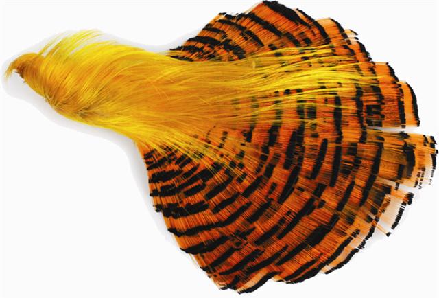 WAPSI Golden Pheasant Complete Head and Tippet